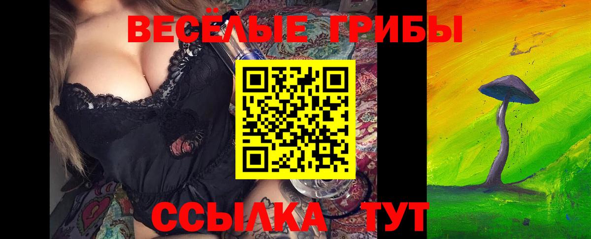 Галлюциногенные грибы MAGIC MUSHROOMS  Вход с VPN  Галлюциногенные грибы мицелий  Саранск 